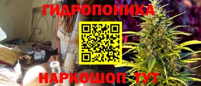 jwh Кимры