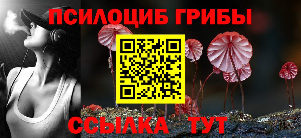 Псилоцибиновые грибы MAGIC MUSHROOMS Красноярск