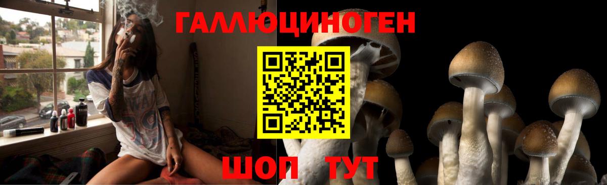Красноярск  Псилоцибиновые грибы мухоморы  Галлюциногенные грибы ЛСД  Вход с VPN 